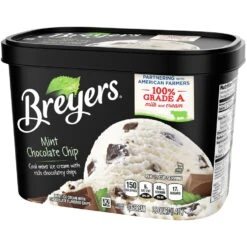 Breyers Mint Chocolate Chip Ice Cream -Snack Shop 1 d9a692999ec5cb7a112dfc37440ebc8a