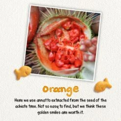 Pepperidge Farm Goldfish Colors Cheddar Baked Snack Crackers 26 Pepperidge Farm Goldfish Colors Cheddar Baked Snack Crackers -Snack Shop 26 6f4a029e966c22a2c0dd165e72696469