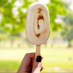 Yasso Frozen Greek Yogurt - Sea Salt Caramel Bars - 4ct -Snack Shop 3 7ff3fb0aea54d683908e04aecc217c56