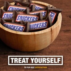 Snickers Fun Size Chocolate Candy Bars - 10.59oz 15 Snickers Fun Size Chocolate Candy Bars - 10.59oz -Snack Shop 5 3d5533fa557632815a045ff741c7fed5