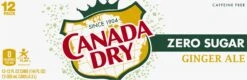 Canada Dry Zero Sugar Ginger Ale -Snack Shop 5 85f64e29c6ee61e3ddabc85d1b702e7c