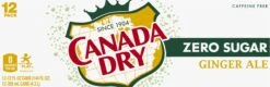 Canada Dry Zero Sugar Ginger Ale -Snack Shop 6 aa79ddd5e38059c565d6d15dca7c2648