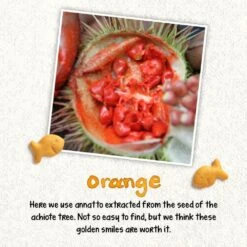 Pepperidge Farm Goldfish Colors Cheddar Baked Snack Crackers 29 Pepperidge Farm Goldfish Colors Cheddar Baked Snack Crackers -Snack Shop 61 72f0c12a02ecd350c81df6effc42790c